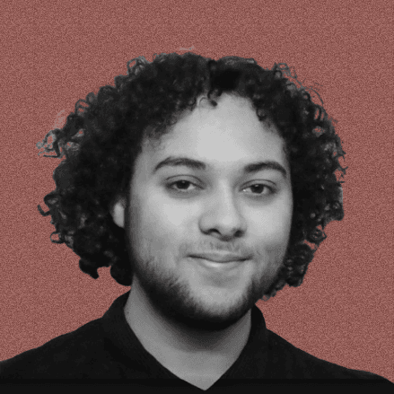 Anas Hassanien image